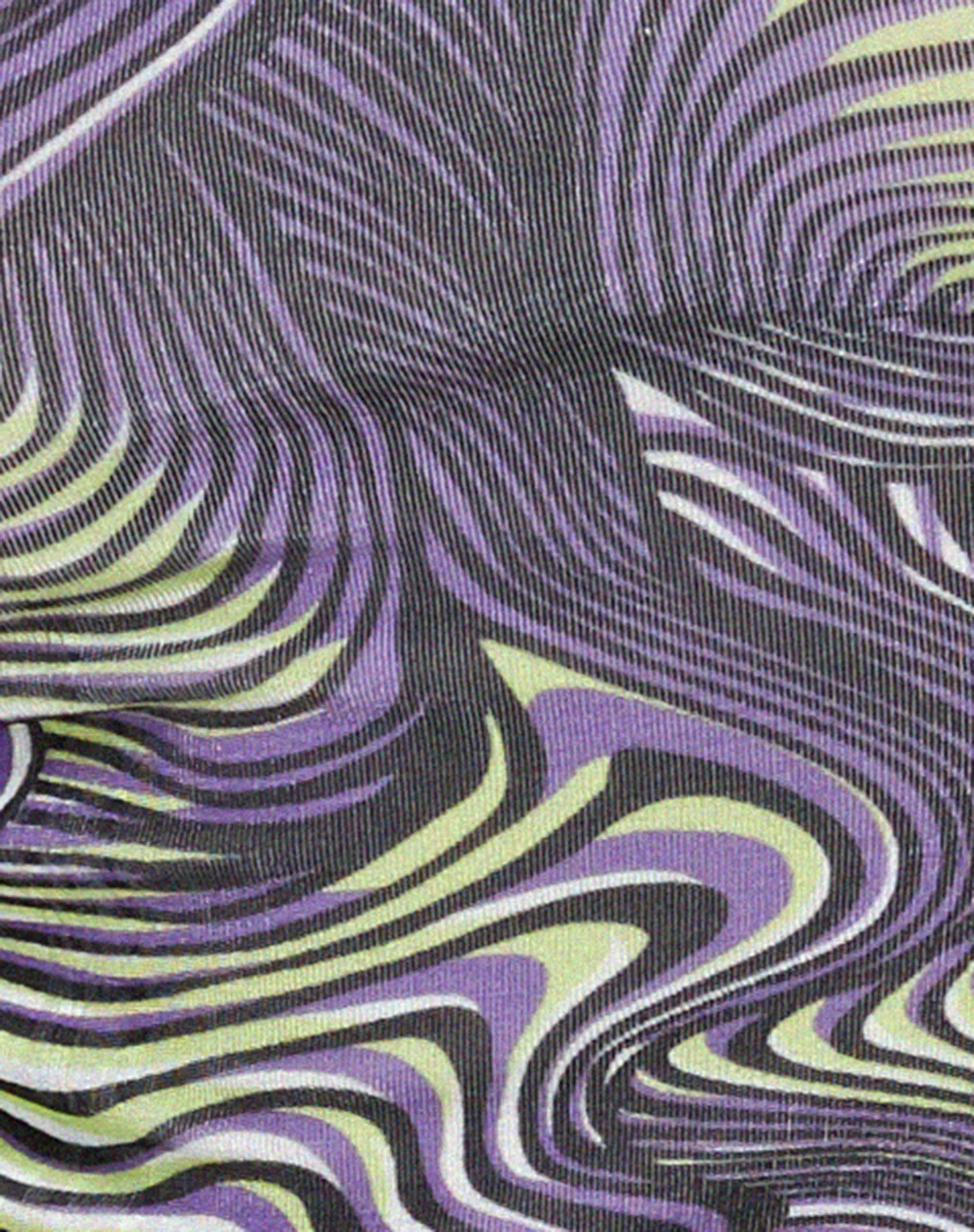 Janu Long Sleeve Top in Rave Optic