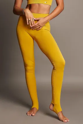 Karma Legging 2.0 Gold