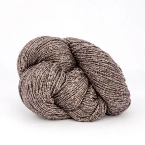 Xyris Kit Size 4-5 (Taupe 10)